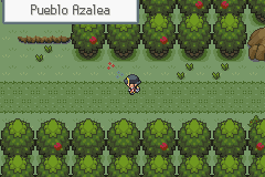 Camino despejado hacia Pueblo Azalea tras devolver el Poké Muñeco